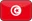Tunisia Flag Icon